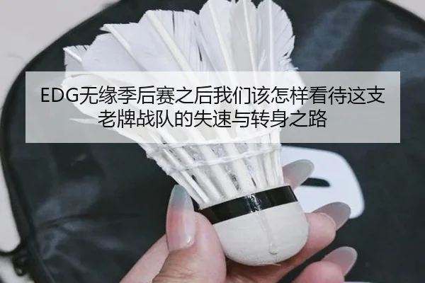 EDG无缘季后赛之后我们该怎样看待这支老牌战队的失速与转身之路